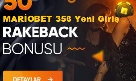 mariobet.com 356 giriş